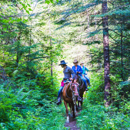 Horseback Riding Horseback Riding