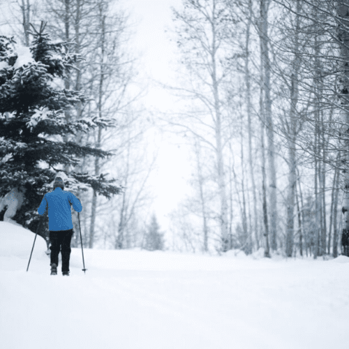 Nordic Skiing Nordic Skiing