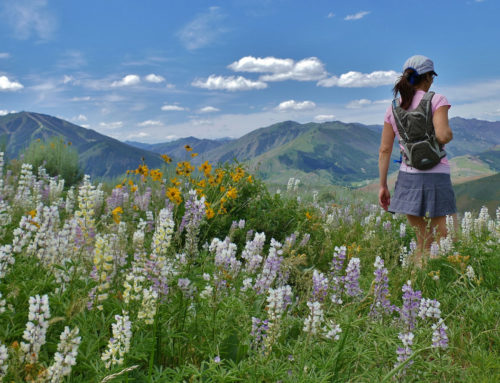 It’s Hiking Season! Here are a few of our favorite trails