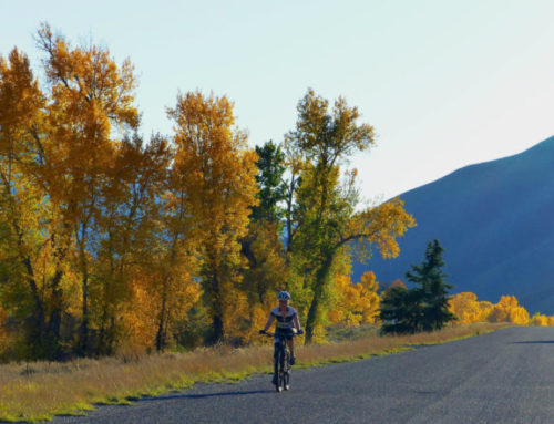 Fall Biking in the Wood River Valley