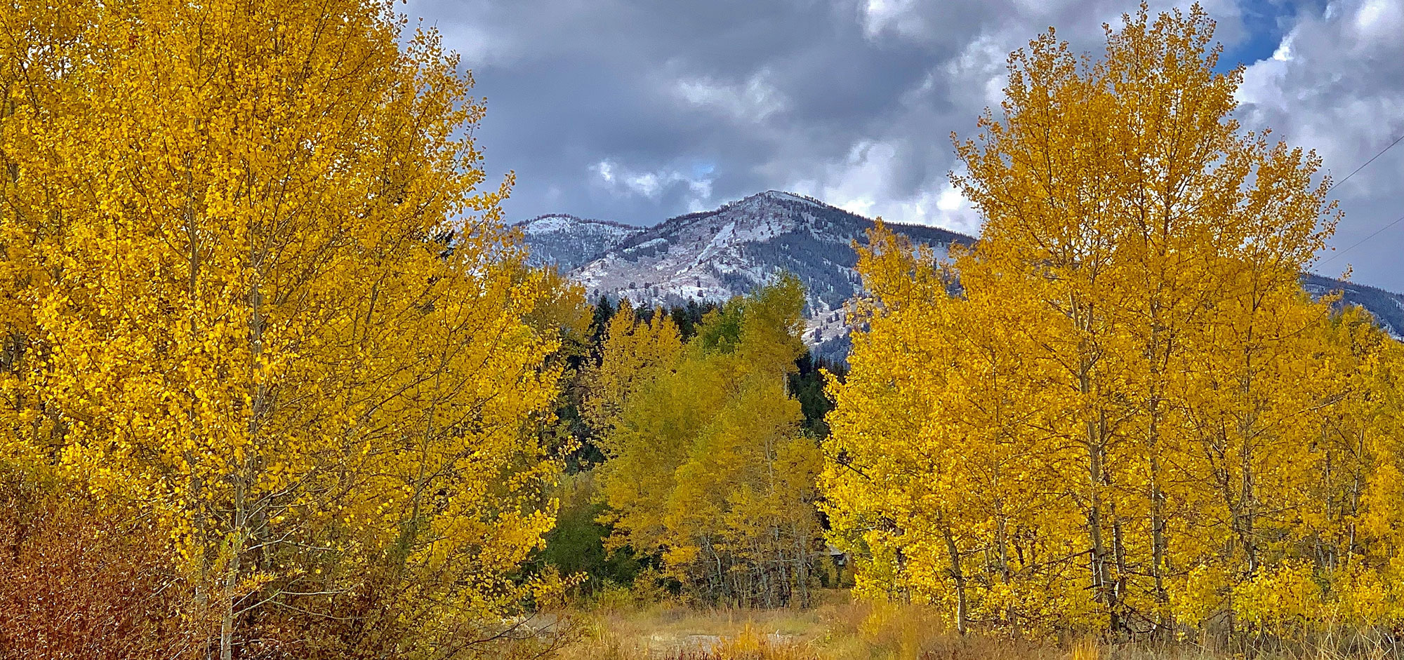 Discover the Wood River Valley Valley Chamber