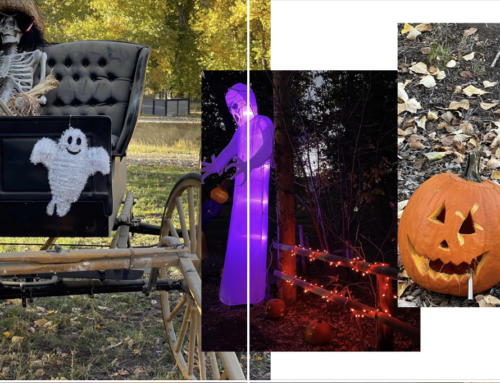 Halloween Events Start Tonight at Blazing Pumpkins